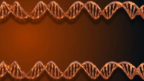 DNA. Abstract 3d polygonal wireframe DNA molecule helix spiral. Stock Illustration