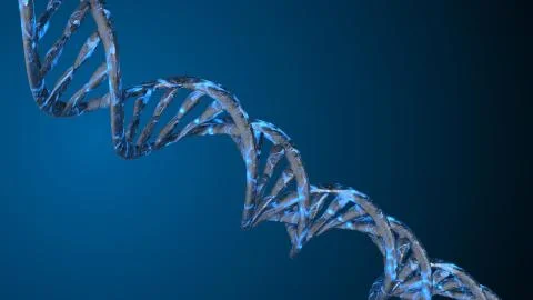 DNA. Abstract 3d polygonal wireframe DNA molecule helix spiral. Stock Illustration