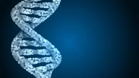 DNA. Abstract 3d polygonal wireframe DNA molecule helix spiral. Stock Illustration