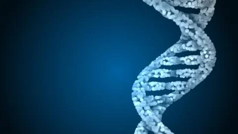 DNA. Abstract 3d polygonal wireframe DNA molecule helix spiral. Stock Illustration