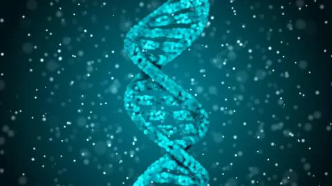 DNA. Abstract 3d polygonal wireframe DNA molecule helix spiral. Stock Illustration