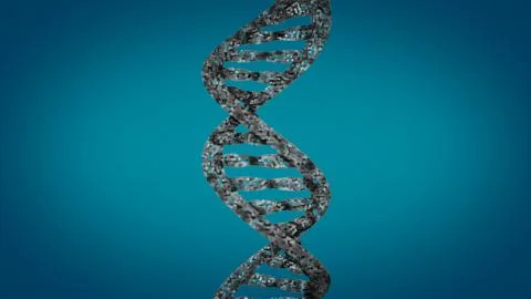 DNA. Abstract 3d polygonal wireframe DNA molecule helix spiral. Stock Illustration