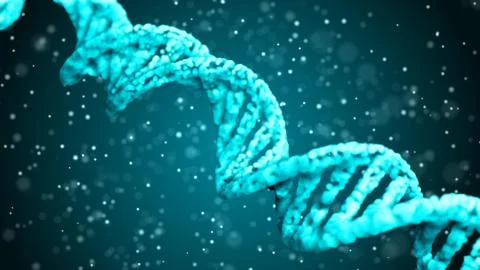 DNA. Abstract 3d polygonal wireframe DNA molecule helix spiral. Stock Illustration