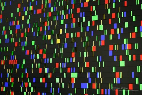 DNA analysis. Data with genetic information as background, closeup Stock Photos