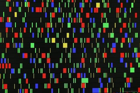 DNA analysis. Data with genetic information as background, closeup Stock Photos