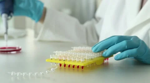DNA analysis of samples in criminological laboratory Stock Footage 49623528