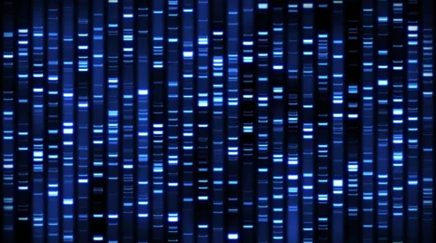 DNA Analysis Sequence Loop Stock Footage 48462272