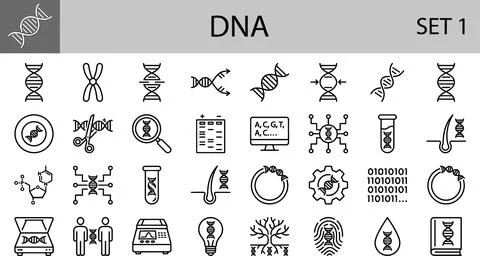 DNA and Genetics Thin Line Icon Set for Science and Biology. Stock Illustration