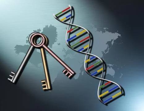 DNA and keys Illustration