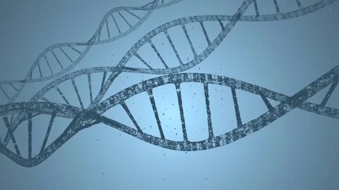 Dna and plexus on a blue background. Loop animation Video stock 77378245