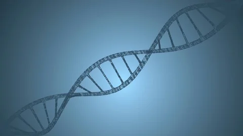Dna and plexus on a blue background. Loop animation Stock Footage 77563087