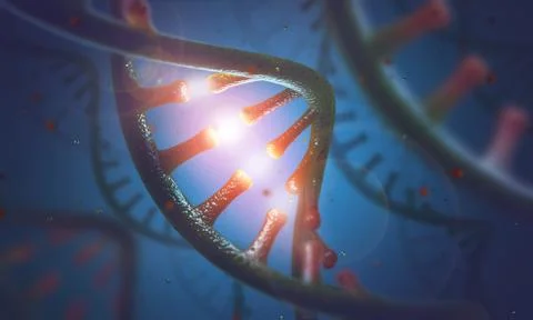 DNA and RNA molecules Stock Illustration