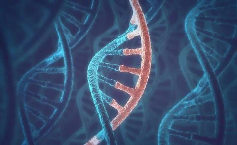 DNA and RNA molecules Stock Illustration