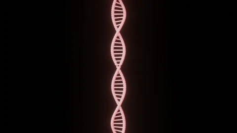 DNA animated  Stock Footage 136448795