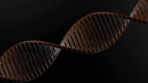 DNA Animation 3d Render Loop Stock Footage 156933478