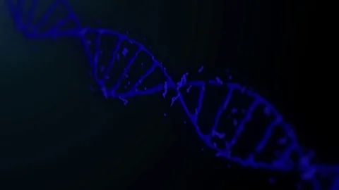 DNA animation on the black background. Stock Footage 77624731
