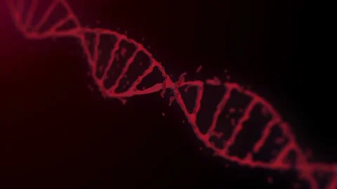 DNA animation on the black background. Stock Footage 77624759