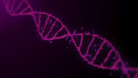 DNA animation on the black background. Stock Footage 77624763