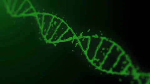 DNA animation on the black background. Stock Footage 77624768