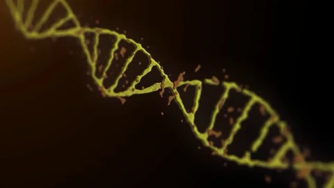 DNA animation on the black background. Stock Footage 77624775