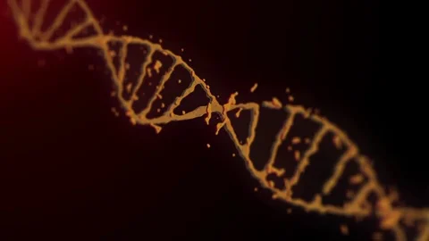 DNA animation on the black background. Stock Footage 77624776