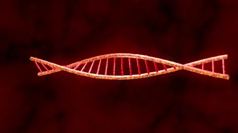 DNA animation Stock Footage 47538817