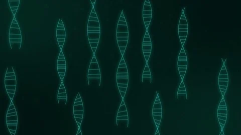DNA Animation Vídeo Stock 83711756