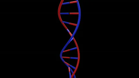 DNA Animation HD Video stock 631635