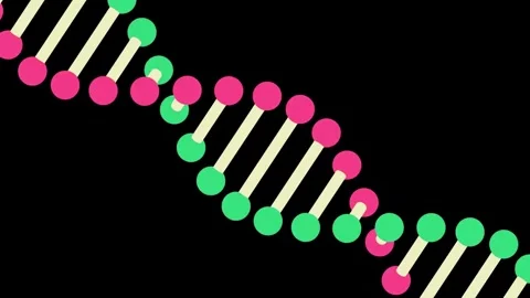 DNA Animation Loop Stock Footage 340135094