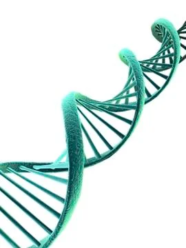 Dna, artwork Stock Illustration