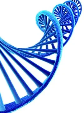 Dna, artwork Stock Illustration