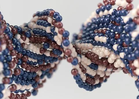 DNA Atom Model Stock Illustration