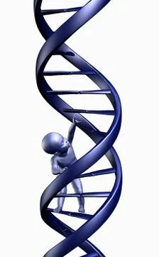 DNA Baby Stock Illustration