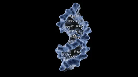 DNA - Backbone and Basepairs Stock Footage 27138716