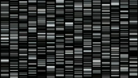 DNA  barcodes . DNA barcoding . Shimmering grayscales. 3d animation rendering Stock Footage 149390012
