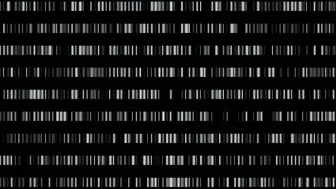 DNA  barcodes move fast horizontally  to right. Grayscale . 3d animation render Stock Footage 149390003