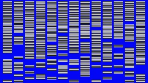 DNA  barcodes pop on off bluescreen . DNA barcoding 3d animation render Stock Footage 149389983