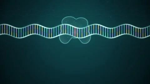 DNA Base Editing Enzyme Correcting a Single Faulty Base Pair Animation Stockbeeldmateriaal 347525932