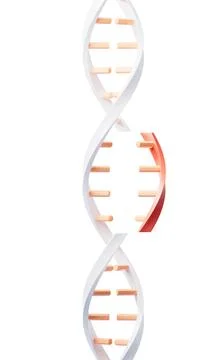 DNA with biological concept, 3d rendering. Stock Illustration