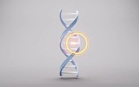 DNA with biological concept, 3d rendering. 스톡 일러스트