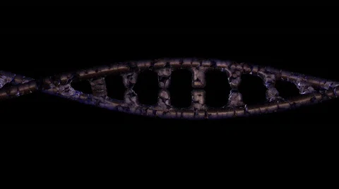 Dna (black background) Stock Footage 73431