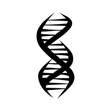 DNA black vector icon on white background 스톡 일러스트