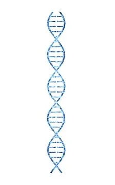 DNA with blue transparent structure, 3d rendering. Stockillustratie