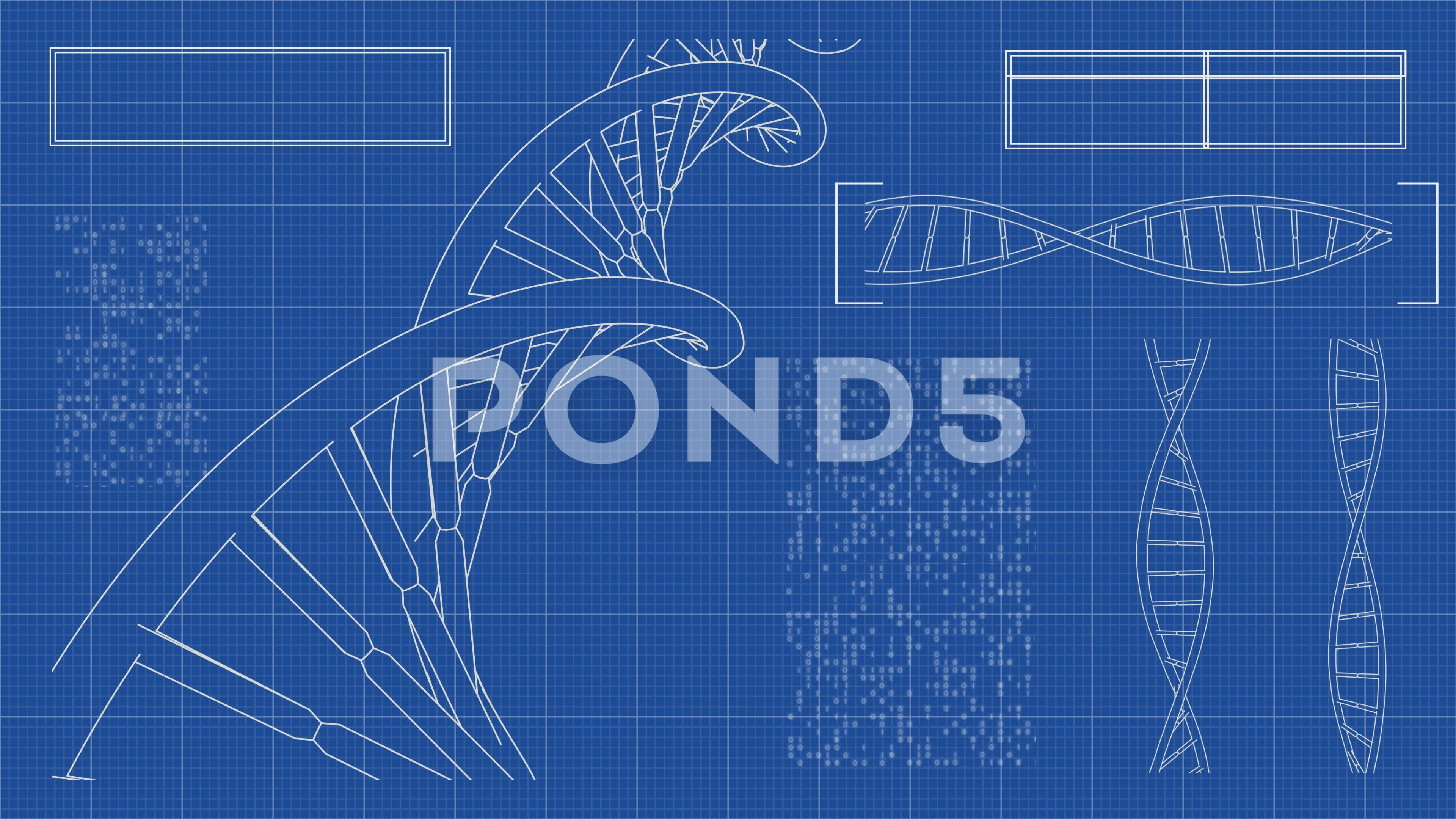 pond5