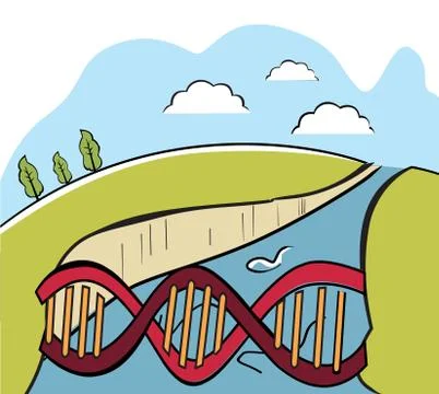 Dna bridge Stock Illustration