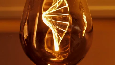 DNA bubl lamp design, warm light Stock Footage 297816707