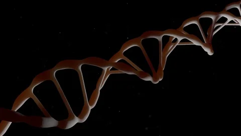DNA. The camera flies around the DNA molecule. Genetic engineering scientific Stock Footage 76847479
