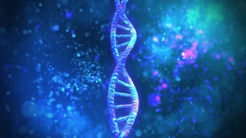 DNA in cell Stock Footage 162401863