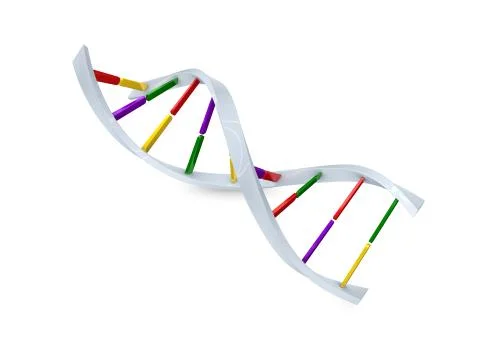 Dna cell structure Stock Illustration