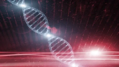 Dna cell structure on shiny red network Stock Footage 320261259